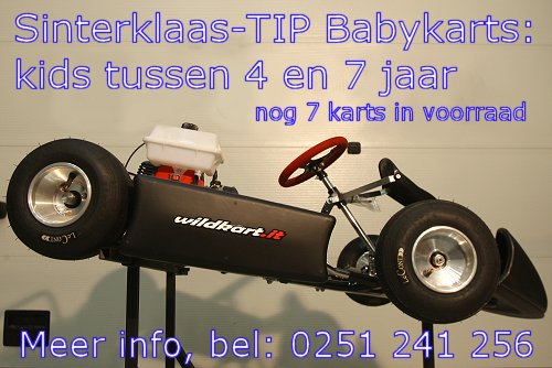 Babykarts voor kids van 4 tot 7 jaar